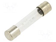 Fuse: fuse; 2.5A; 250VAC; time-lag; glass; 6.3x32mm; TSA; brass OPTIFUSE