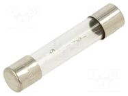 Fuse: fuse; 3.5A; 250VAC; time-lag; glass; 6.3x32mm; TSA; brass OPTIFUSE