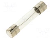 Fuse: fuse; 300mA; 250VAC; time-lag; glass; 6.3x32mm; TSA; brass OPTIFUSE