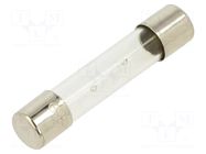 Fuse: fuse; 315mA; 250VAC; time-lag; glass; 6.3x32mm; TSA; brass OPTIFUSE