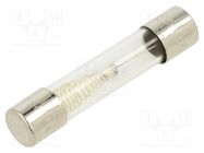 Fuse: fuse; time-lag; 750mA; 250VAC; glass; 6.3x32mm; brass; TSA OPTIFUSE