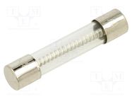 Fuse: fuse; time-lag; 7A; 250VAC; glass; 6.3x32mm; brass; TSA OPTIFUSE