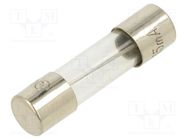 Fuse: fuse; time-lag; 315mA; 250VAC; glass; 5x20mm; brass; TSC; bulk OPTIFUSE