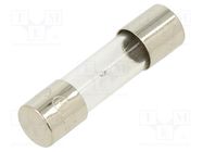 Fuse: fuse; time-lag; 1.25A; 250VAC; glass; 5x20mm; brass; bulk OPTIFUSE