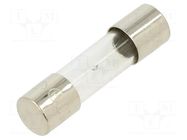 Fuse: fuse; 1.25A; 250VAC; time-lag; glass; 5x20mm; brass; bulk OPTIFUSE