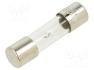 Fuse: fuse; time-lag; 10A; 250VAC; glass; 5x20mm; brass; bulk OPTIFUSE