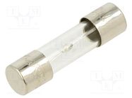 Fuse: fuse; time-lag; 12.5A; 250VAC; glass; 5x20mm; brass; bulk OPTIFUSE