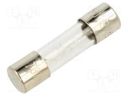 Fuse: fuse; time-lag; 315mA; 250VAC; glass; 5x20mm; brass; bulk OPTIFUSE