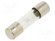 Fuse: fuse; time-lag; 8A; 250VAC; glass; 5x20mm; brass; bulk OPTIFUSE