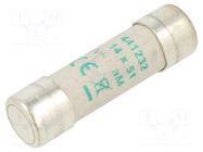 Fuse: fuse; aM; 32A; 500VAC; ceramic,cylindrical,industrial DF ELECTRIC