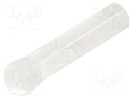 Fiber for LED; round; Ø3.2mm; Front: convex; straight; IP68 MENTOR