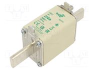 Fuse: fuse; aM; 250A; 500VAC; NH1 DF ELECTRIC