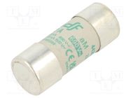 Fuse: fuse; aM; 12A; 690VAC; ceramic,cylindrical,industrial DF ELECTRIC