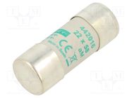 Fuse: fuse; aM; 16A; 690VAC; ceramic,cylindrical,industrial DF ELECTRIC