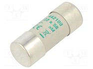 Fuse: fuse; aM; 100A; 500VAC; ceramic,cylindrical,industrial DF ELECTRIC