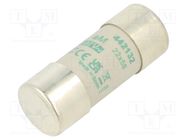 Fuse: fuse; aM; 32A; 690VAC; ceramic,cylindrical,industrial DF ELECTRIC