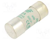 Fuse: fuse; aM; 100A; 500VAC; ceramic,cylindrical,industrial DF ELECTRIC