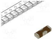 Filter: anti-interference; SMD; 1206; 6A; 50VDC; ±20%; 3mΩ; 100nF MURATA