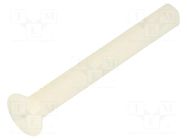Screw; M6x50; 1; Head: oval,countersunk; slotted; 1.8mm; polyamide DREMEC