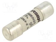 Fuse: fuse; gG; 20A; 500VAC; ceramic; 10x38mm SCHNEIDER ELECTRIC