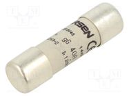 Fuse: fuse; gG; 40A; 500VAC; ceramic; 14x51mm SCHNEIDER ELECTRIC