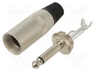 Plug; Jack 6,3mm; male; mono; ways: 2; straight; 8.8mm; Body: silver REAN