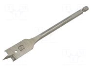 Drill bit; for wood,feather; Ø: 19mm; L: 152mm; Holder: E6,3mm; 1/4" Milwaukee