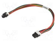 Minifit 6 Circuit 300MM Cable Assembly MOLEX