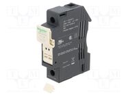 Fuse base; for DIN rail mounting; Poles: 1 SCHNEIDER ELECTRIC