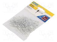 Rivet; aluminium; Rivet diam: 3.2mm; L.rivet: 8mm; 100pcs. RAPID