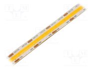 COB LED tape; white warm; LED/m: 528; 10mm; IP65; 10W/m; CRImin: 80 WISVA OPTOELECTRONICS