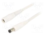 Cable; 2x0.5mm2; DC 5,5/2,1 plug,DC 5,5/2,1 socket; straight WEST POL