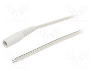 Cable; 2x0.35mm2; wires,DC 5,5/2,1 socket; straight; white; 1.5m WEST POL