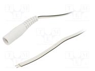 Cable; 2x0.5mm2; wires,DC 5,5/2,1 socket; straight; white; 1.5m WEST POL