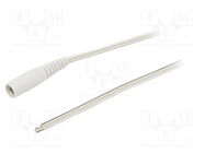 Cable; 2x0.5mm2; wires,DC 5,5/2,1 socket; straight; white; 5m WEST POL