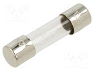 Fuse: fuse; quick blow; 2A; 250VAC; cylindrical,glass; 5x20mm; GMA EATON/BUSSMANN