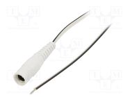 Cable; 2x0.35mm2; wires,DC 5,5/2,1 socket; straight; white; 0.5m WEST POL