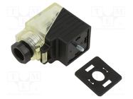 Connector: valve connector; plug; form A; 18mm; female; PIN: 3; 24V MURR ELEKTRONIK