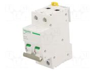 Switch-disconnector; Poles: 2; for DIN rail mounting; 125A; IP20 SCHNEIDER ELECTRIC
