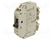 Motor breaker; 250VAC; for DIN rail mounting; IP20; -20÷60°C SCHNEIDER ELECTRIC