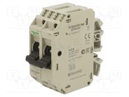 Motor breaker; 250VAC; for DIN rail mounting; IP20; -20÷60°C SCHNEIDER ELECTRIC