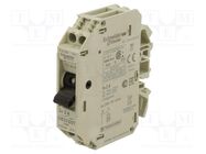 Motor breaker; 250VAC; for DIN rail mounting; IP20; -20÷60°C SCHNEIDER ELECTRIC