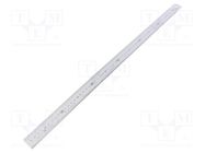 Ruler; L: 0.6m; Width: 30mm; Class: I TAJIMA