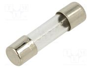 Fuse: fuse; time-lag; 10A; 250VAC; cylindrical,glass; 5x20mm; brass BEL FUSE