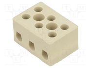 Terminal block; screw terminal; 6mm2; 450V; ways: 3; terminals: 6 BM GROUP