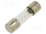 Fuse: fuse; time-lag; 800mA; 250VAC; glass; 5x20mm; brass; bulk OPTIFUSE