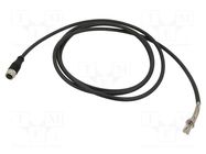 Connection lead; M12; PIN: 12; straight; 2m; plug; 1.5A; VK; -40÷90°C IPF ELECTRONIC