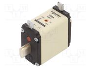 Fuse: fuse; gG; 160A; 500VAC; ceramic; NH00 SCHNEIDER ELECTRIC