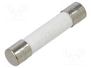 Fuse: fuse; quick blow; 5A; 250VAC; ceramic; 6.3x32mm; brass OPTIFUSE