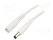 Cable; 1x1mm2; DC 5,5/2,1 plug,DC 5,5/2,1 socket; straight; 2m WEST POL